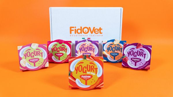 Box Yogurt - 6pz